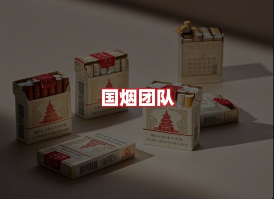 国烟团队